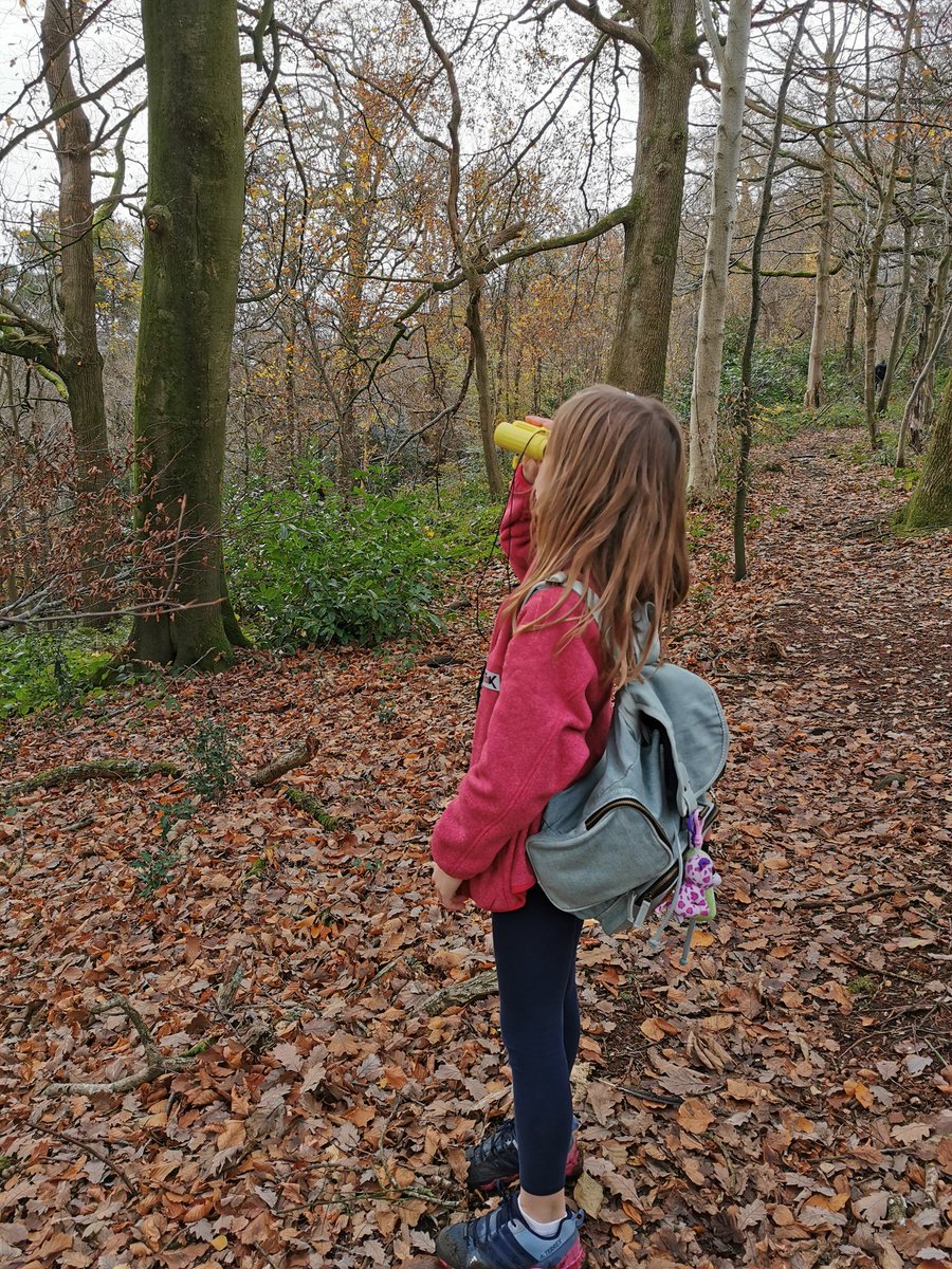 PaulaJayneDaws2's tweet photo. Lovely walk at Dinton Park this morning. #SDHActive @MatronsSDH1 @Jaynesheppard4 @HelenBenfield5 @SrDawnEdge @BernieDunn6 https://t.co/Qbltov49fL