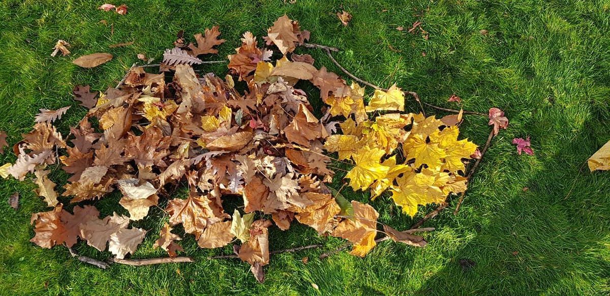 WinslowBenefice's tweet photo. Another two #100LeafChallenge entries -
The first is from Lily who made a hedgie-peg, as told in the take of Noah and the Ark.
And Grace made a flower out of leaves, the Bible is packed full of flowers and we can never have enough of them in our lives. https://t.co/mZYeJDLVHc