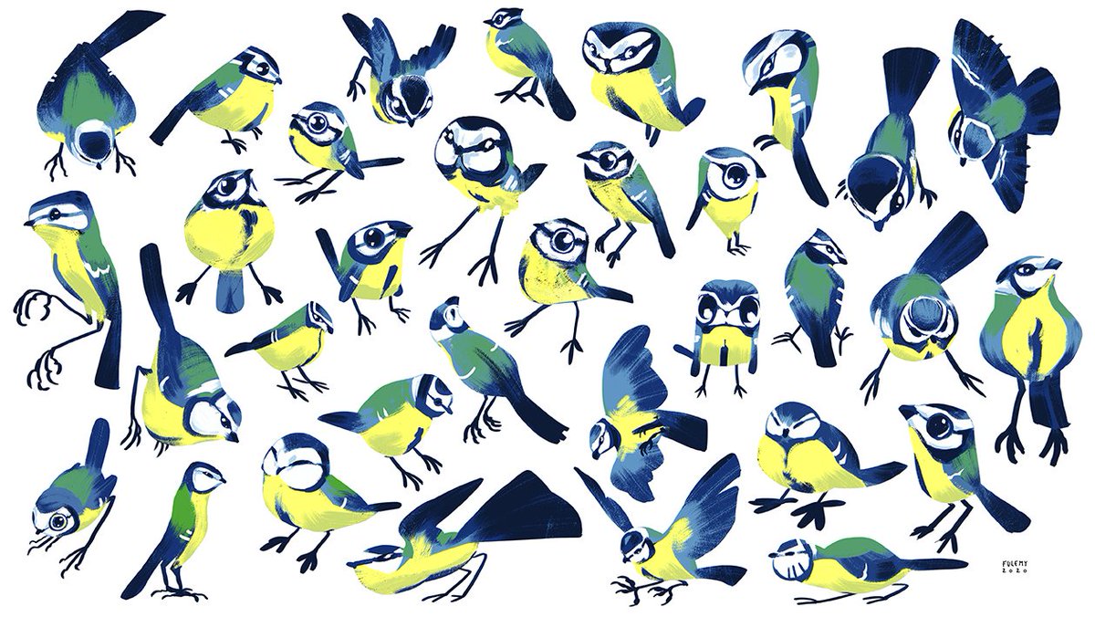 Blue tits everywhere