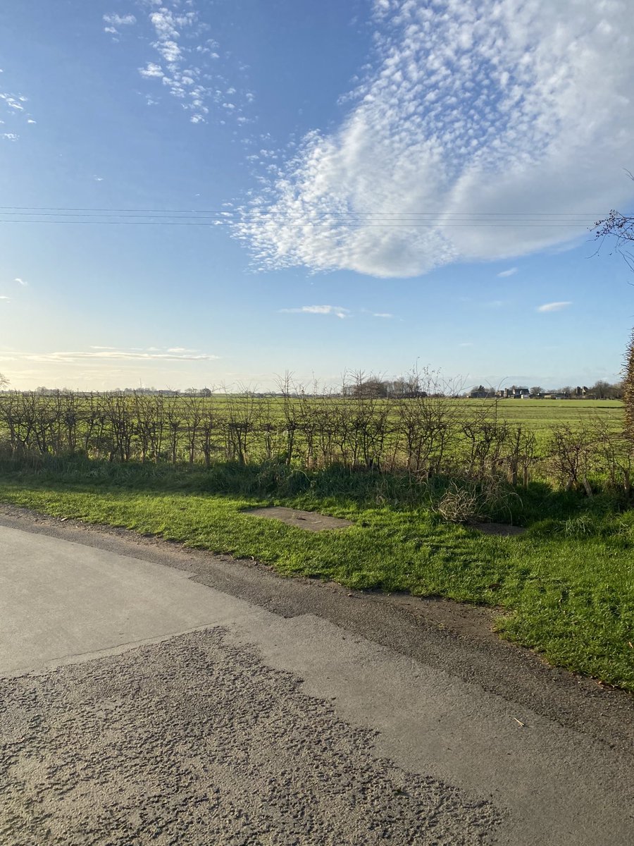 rugbyslave's tweet photo. Never been so grateful to have this outside the door, definitely been my biggest #lockdownlesson #freshairsunday https://t.co/524m55XJST