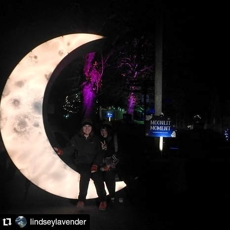 BigHouseEvents's tweet photo. Another addition to the ZooJob we've been on recently. An 8ft tall Cresent moon Instagram moment. 

Spruce sheeting framework with 6mm bendy ply, finished in durable acrylic black, ready to receive the pre-painted opal acrylic, which we also shaped. Fits snuggly in a small transi https://t.co/osbayg8ITw