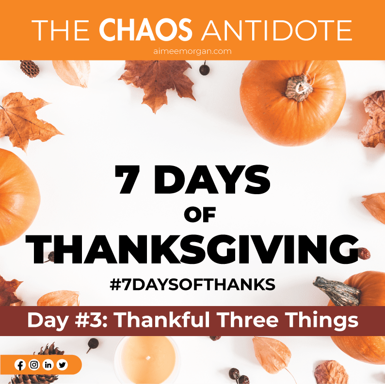 theaimeemorgan's tweet photo. Day 3 of #7daysofTHANKS: 
Identify three THINGS you’re thankful for … and tell them!

https://t.co/yP26YvUSHy 

#7daysofthanksgiving #7daysofthanks #mindful #thanksgiving #thankful #grateful #thechaosantidote #mindfulness https://t.co/VhJg9EiTUG