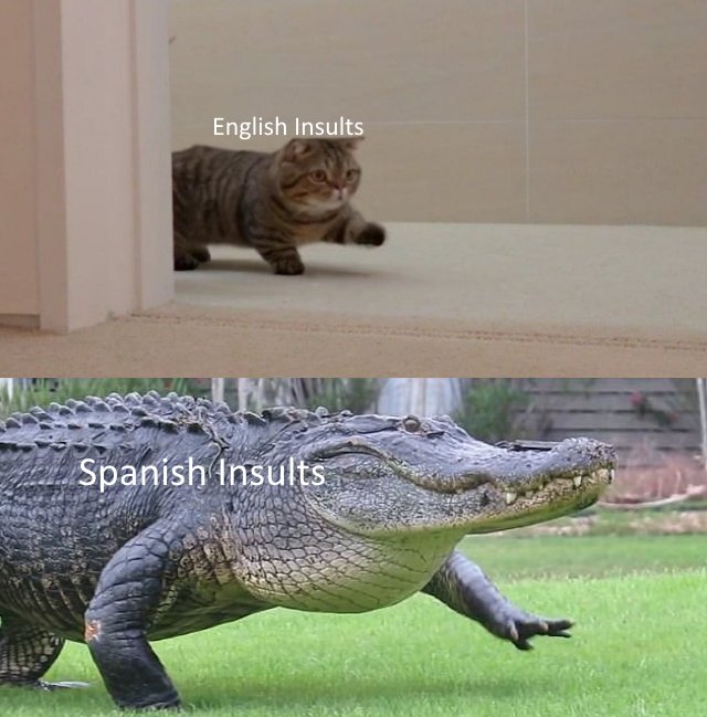 AndreOrtegaM's tweet photo. Ustedes me van a disculpar, pero los argentinos tienen los mejores insultos de la comunidad habla hispana. https://t.co/mSD2CcKDwm