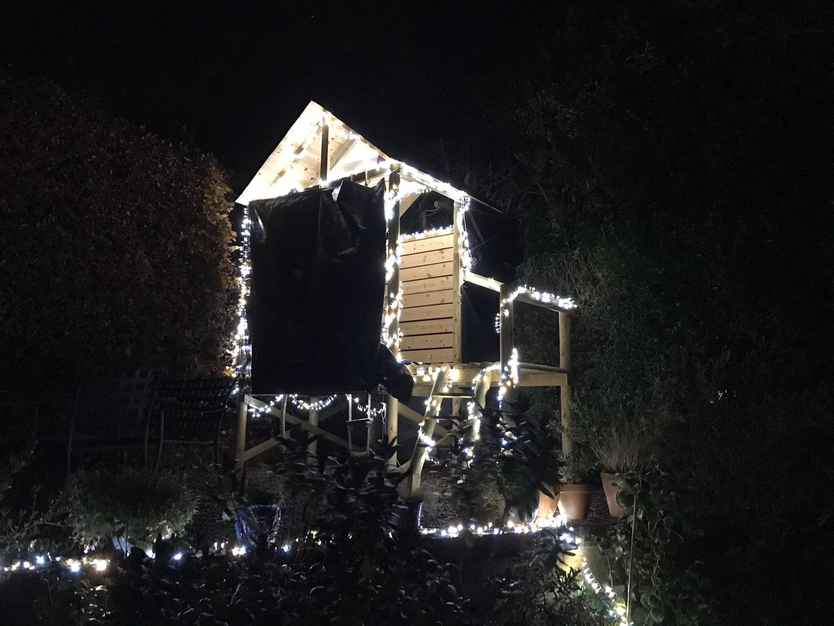 T James Royle tweet media