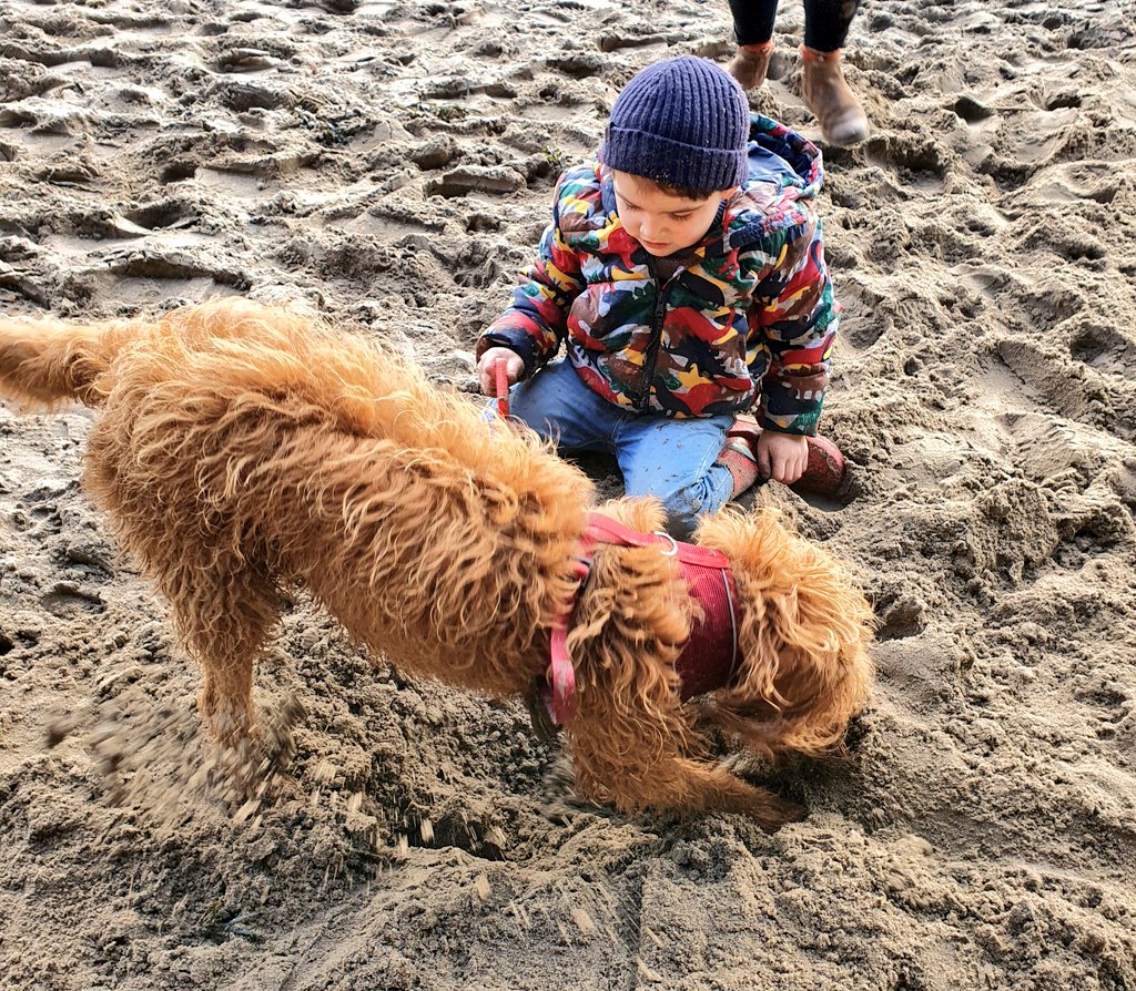 livdon84's tweet image. Sunny Sunday morning stroll. First time the dog has been to the beach since March..he was beyond excited! 🐕 #diggingdog #beachwalks #wintersunshine