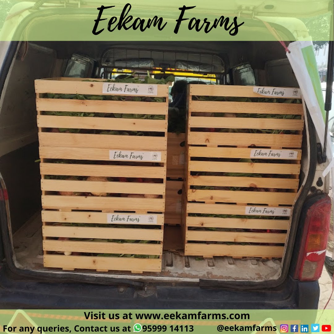 EekamFarms's tweet photo. This season's first delivery of Eekam Farms veggies that are ready to give you a natural &amp; chemical-free taste of vegetables.
Try our 5 kg Mini Basket for one month and know the difference!
Subscribe now at https://t.co/9UZMIc7xDp
For more info join this: https://t.co/tkmIcYdAk5 https://t.co/F552qKtE12