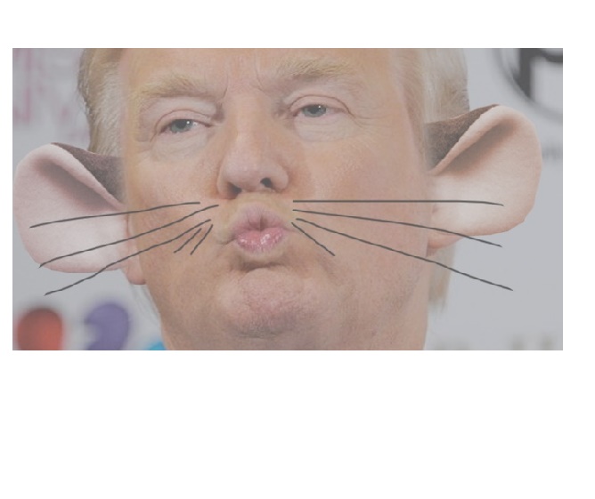 Eti_Verde's tweet image. Urban obstacles to curb procreation led to 3rd &amp;amp; 4th generations of super rats, vermin dodging regulation&amp;amp; law. Such vermin thrive in gilded towers exploiting corrupt corners of society to feed their drive to fill their crofts with bounty at any cost. #TrumpRats #TrumpIndictments