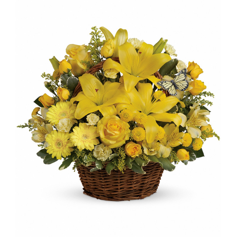 HallsFlowerShop's tweet photo. Send a bright, cheerful basket full of wishes and fill someone's day with beauty and happiness.
#BasketFullOfWishes #roses #mums #poms #lilies #freshflowers #hallsflowershop #stonemountainga #favoriteflorist #flowerdelivery https://t.co/lt0L6BCMNp https://t.co/RF8WqlrEPz