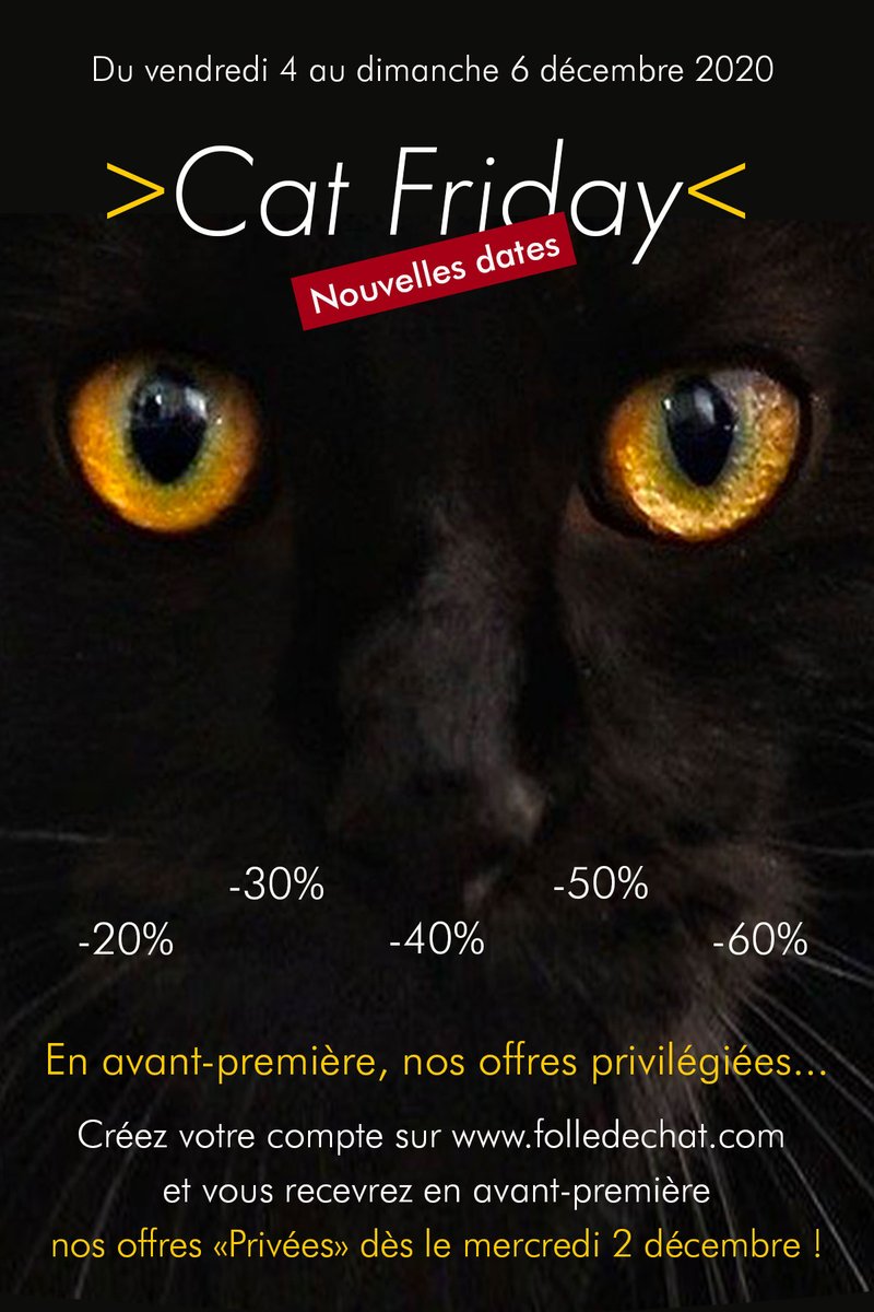 Fan Ou Folle De Chat Folledechat Twitter