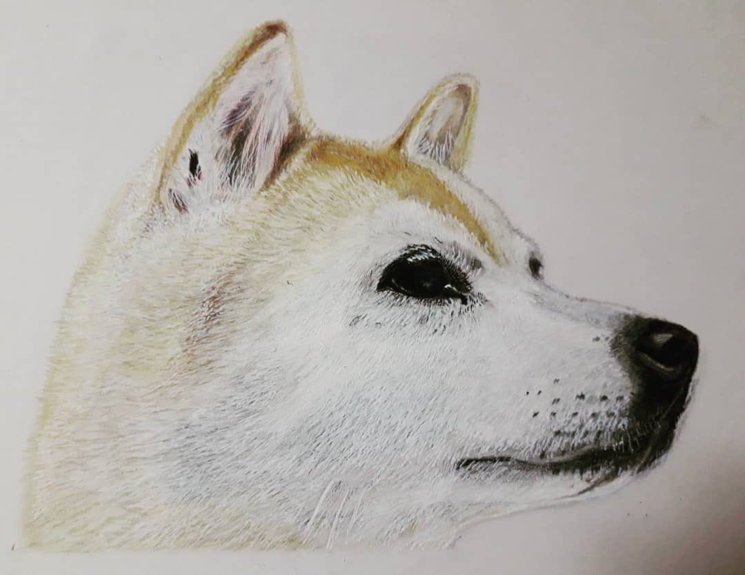 柴犬の絵 Twitter Search Twitter
