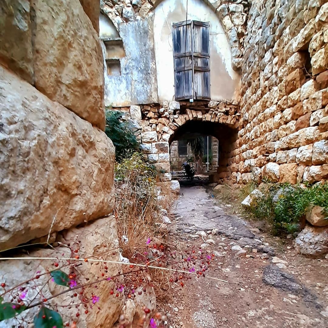 Photo credit nagham amin aldine
▫️
#livelovelebanon #liveloveramliyeh #ramliyeh #ramlieh #naturelovers #livelovenature #oldtown #beautifuldestinations