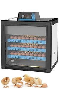 Mthandeni Thabo M. tweet media