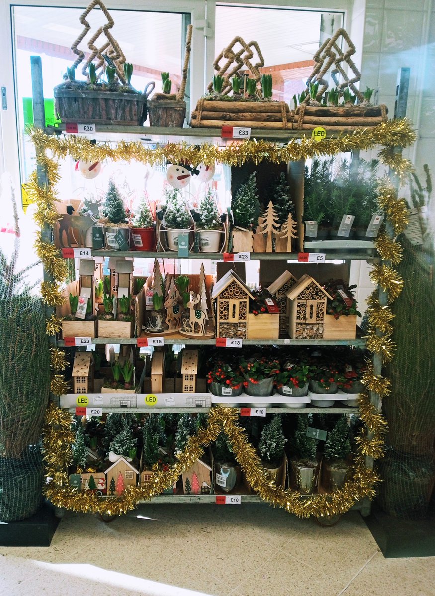 ToniMarie2332's tweet photo. 🎶 It's beginning to look a lot like Christmas, everywhere you go 🎶 @AnitaGi25966379 @Michell41880148 @MattSaunt40 @maisy80637130 @jasontomkins1 @angxlirl @ShaneWorrad @emlou_owen @CJWright_85 @PaulalanDennis https://t.co/B8dsFAjKhU