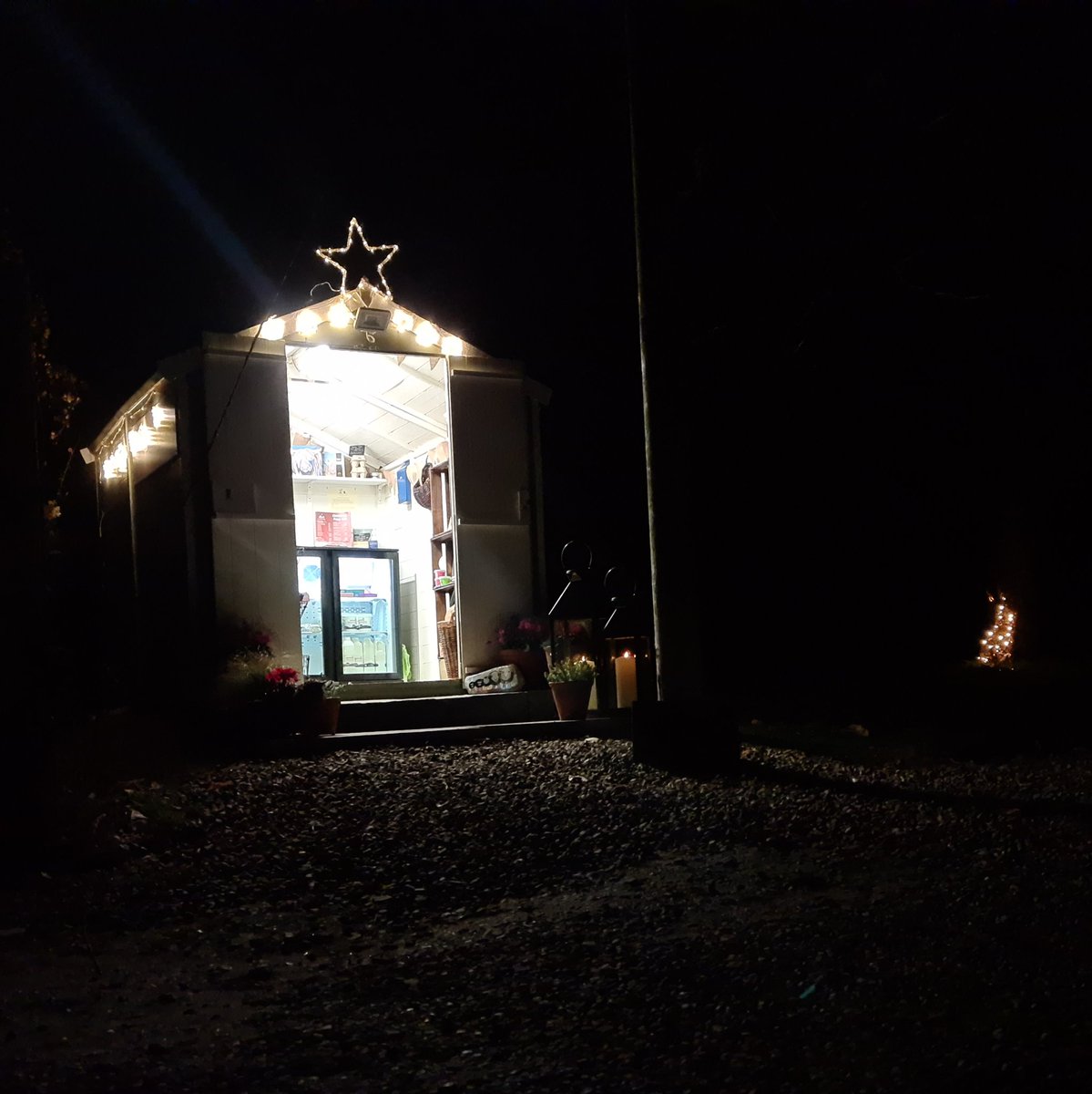 EdinvaleFarm's tweet photo. The boss is starting to get a bit House of Bruar on me #shinebrightscotland #notevenstartedyet https://t.co/OCcojZ8b8f
