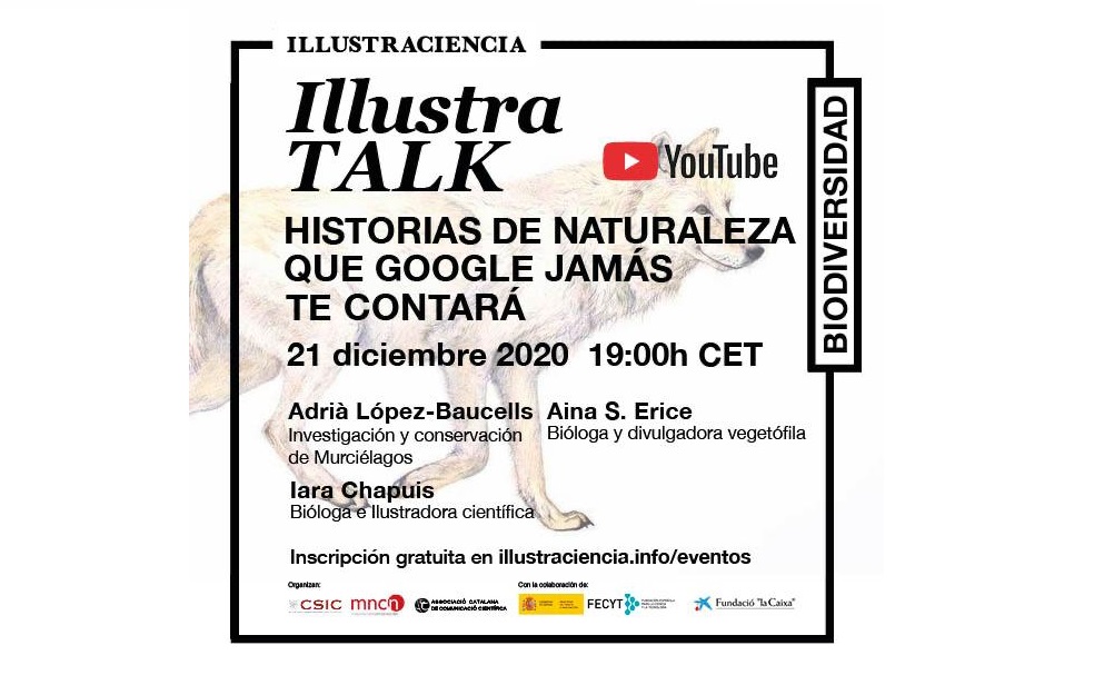 adria_baucells's tweet photo. Thanks a lot @illustraciencia for the invitation! I will be talking about bat #conservAction in the tropics, agricultural insect pest control and citizen science (@Ratpenats_Cat) next December 21
Online, free wihtout registration (In Spanish). 
See you there!
@SECEMU_ @SECEM_ https://t.co/ILz2U8BWEa