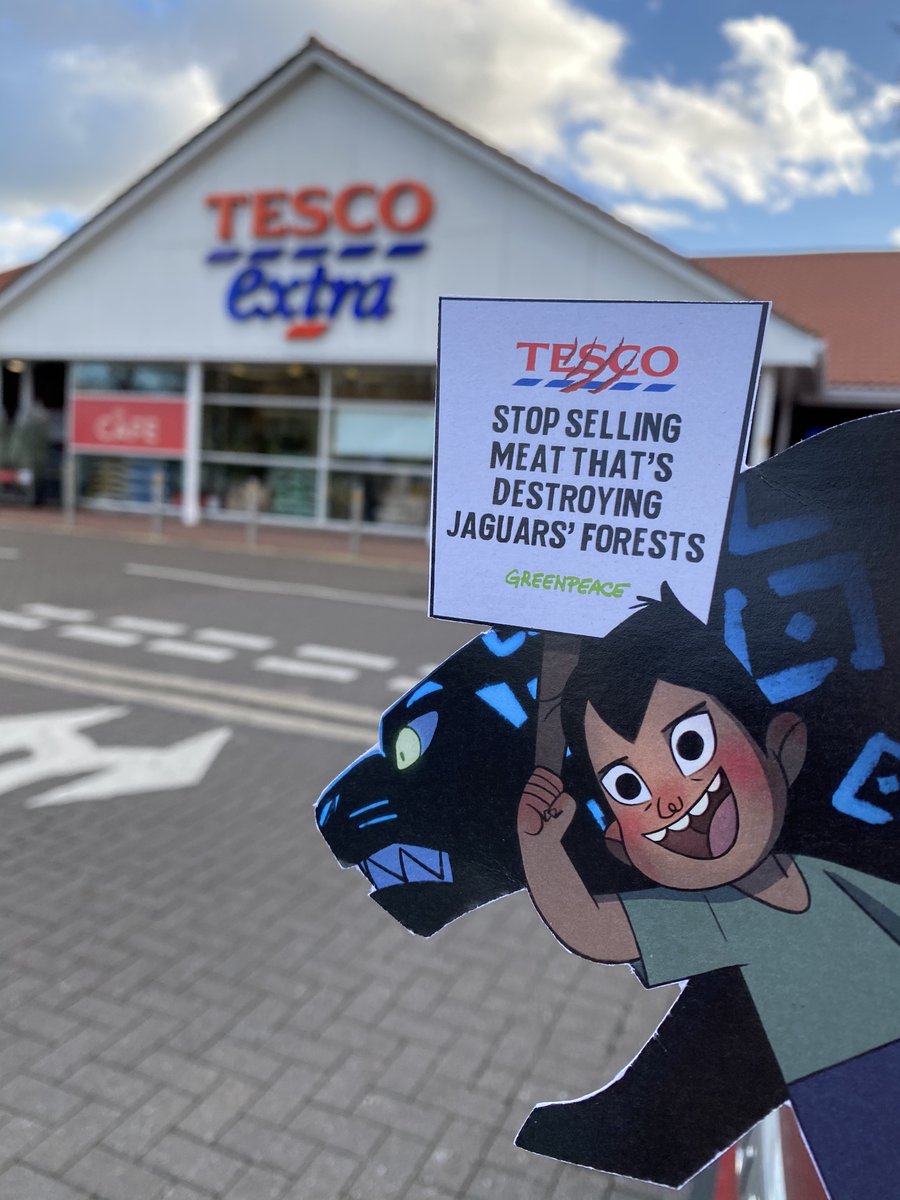 GreenpeaceBath's tweet photo. 📍The jaguar is on the move and is paying #Trowbridge Tesco Extra a visit today!

FACT: Tesco sells more meat &amp; uses more soya for animal feed than any other supermarket in the UK. 

We are calling on Tesco to halve the amount of meat &amp; dairy they sell by 2025.
#Greenpeacemonster https://t.co/2jvxyJ9YNh