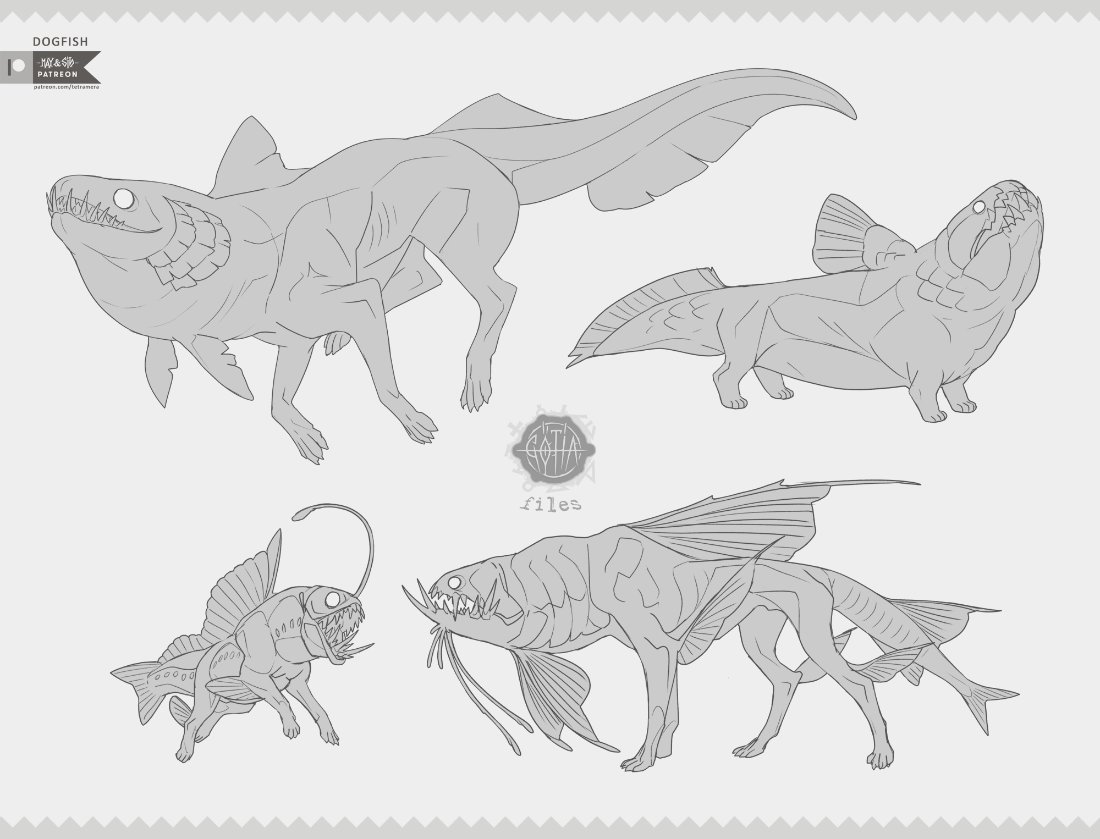2019 pile of dogfish or fishdogs (some of these i wanted to keep and i still feel aw DOGE about them) 