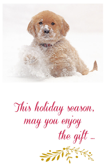 Cardthartic's tweet photo. @CPRverlee We hear you, @CPRverlee! Have a look at the Christmas cards we make as they may feel more *right* to you. You may connect with the snowy golden and cardinal designs especially as they focus on connection and gratitude. https://t.co/QGCmZNrvgv https://t.co/QvojMJrKhc