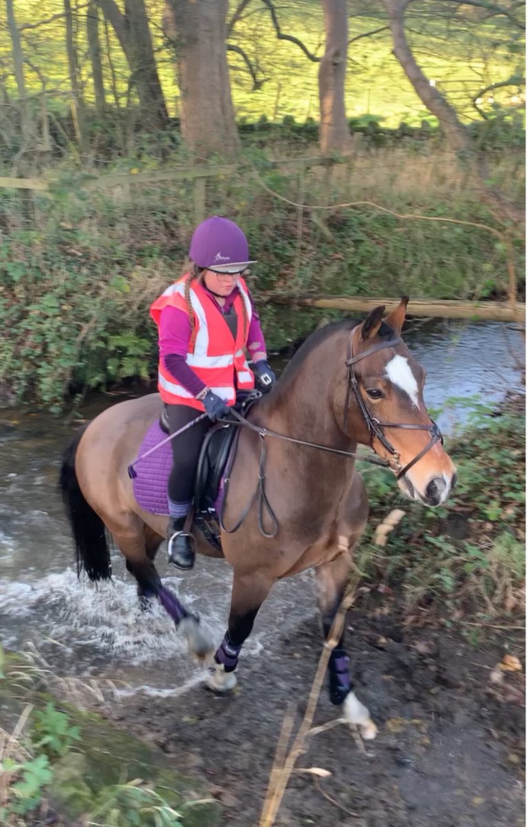 Finding schooling really hard at the minute but absolutely love 💕 hacking this dude! #splashing #autumnsun ☀️🍂 #grateful Photo by mum @rachwilcox