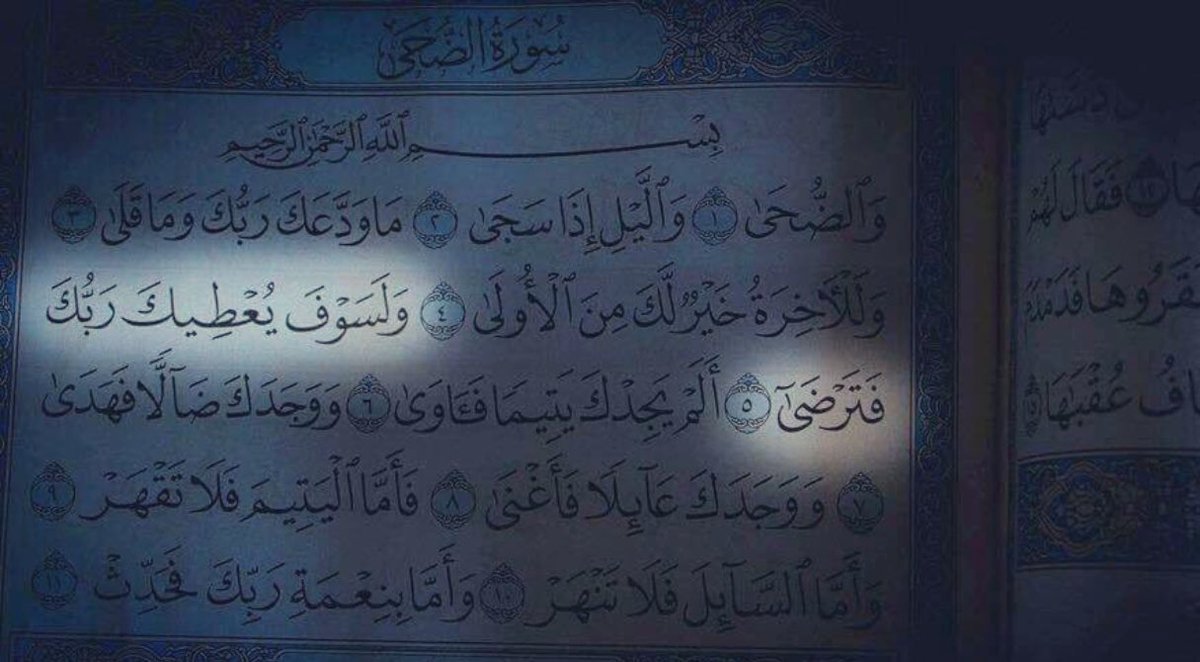 1flowery_'s tweet photo. إنت المقصود ♥️! https://t.co/X2Bp1NGvJn