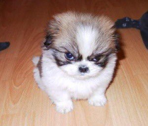 godnosense's tweet photo. ㅋ ㅋ ㅋ ㅋ ㅋㅋ  ㅋㅋ ㅋ ㅋ ㅋ ㅋ ㅋ ㅋ ㅋ ㅋ ㅋ https://t.co/bPHO6OxdZ9
