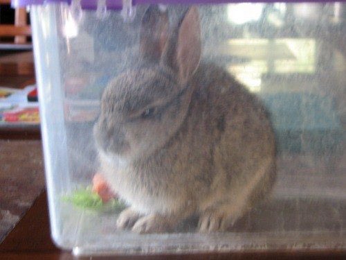 godnosense's tweet photo. ㅋ ㅋ ㅋ ㅋ ㅋㅋ  ㅋㅋ ㅋ ㅋ ㅋ ㅋ ㅋ ㅋ ㅋ ㅋ ㅋ https://t.co/bPHO6OxdZ9