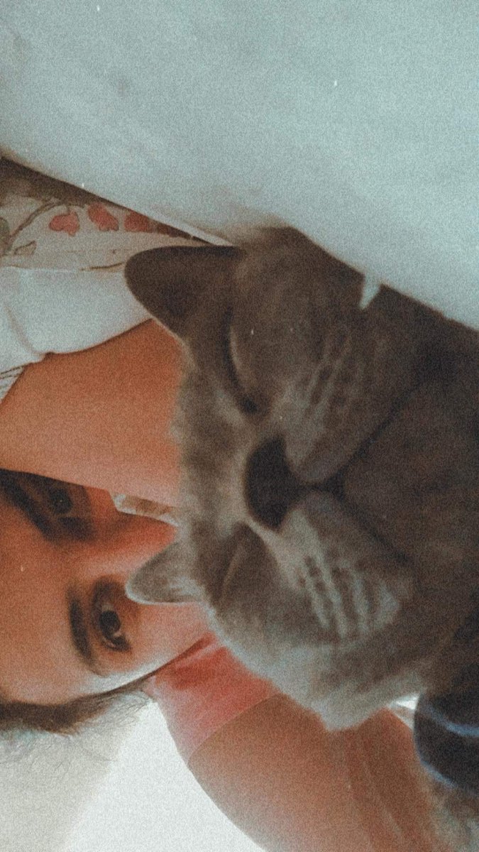 tansugker's tweet photo. Ben kedimin tüm hayatıyım 🐈🐱 https://t.co/KWP5Ar7ecq