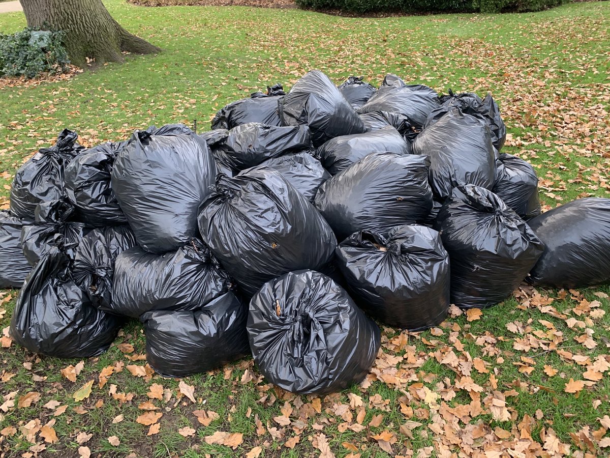 #CommunityPayback visited Vivary Park, #Taunton, raking leaves, good team work and positive response from walkers in the park. PE