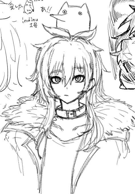 indinu1号 