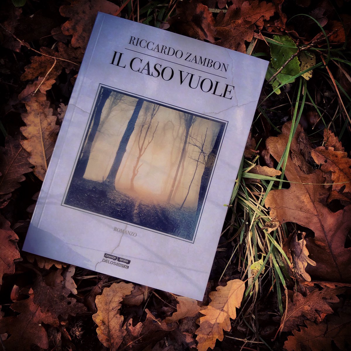 wallano's tweet photo. il naso ringraziava gustandosi gli aromi del bosco, fragranze naturali che lo raggiungevano nel profondo e smuovevano percezioni ancestrali #novembre #bosco #autunno #leggere #storie #leggerelibri #libri #romanzi #lettureconsigliate #caso #storie #ebooks  #TwittaLibro https://t.co/zqi7Aoq1WU