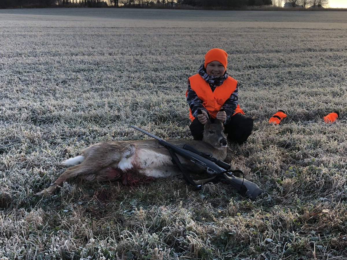 Dave Bauer tweet media