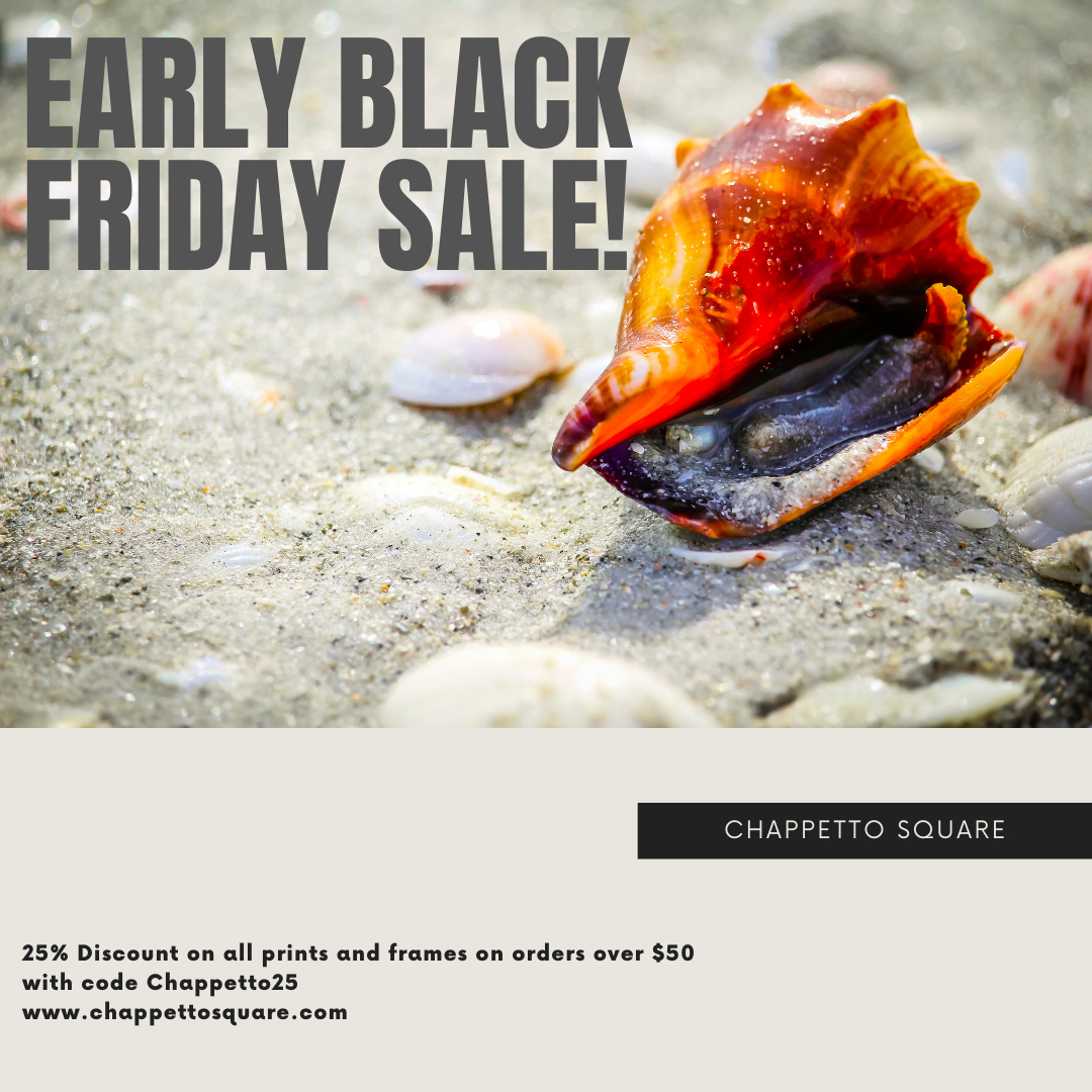 ChappettoSquare's tweet photo. It's the first time I've offered a discount code for my work.  Check it out!  Includes prints and frames!  Use Discount code Chappetto25.  Thanks in advance for your support. <3 #photographer #nycphotographer #photography #naturephotography #headshotphotography #eventphotography https://t.co/ZuL5bqleZ8