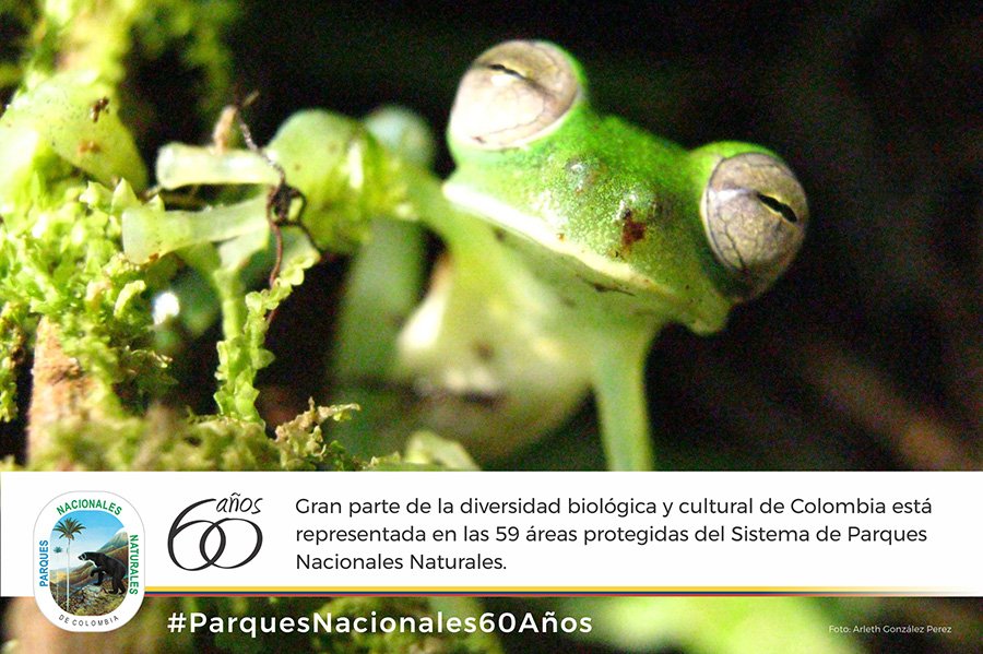 Colombia 🇨🇴 es uno de los países más ricos en diversidad biológica y cultural en el mundo. Esa diversidad está representada en 59 áreas naturales pertenecientes al Sistema de Parques Nacionales Naturales. #ParquesNacionales60Años