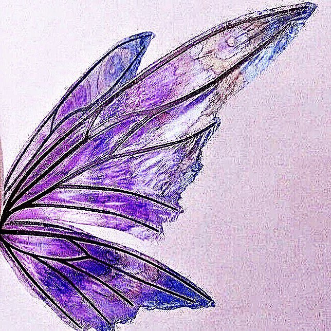 ⋆ᚐ𖠵  ✿   ˙ 𓊪 𖠵ᚐ 𓎭  𝓕╸leurlyn  ⋄ ‡𓎭 ลฟตท .