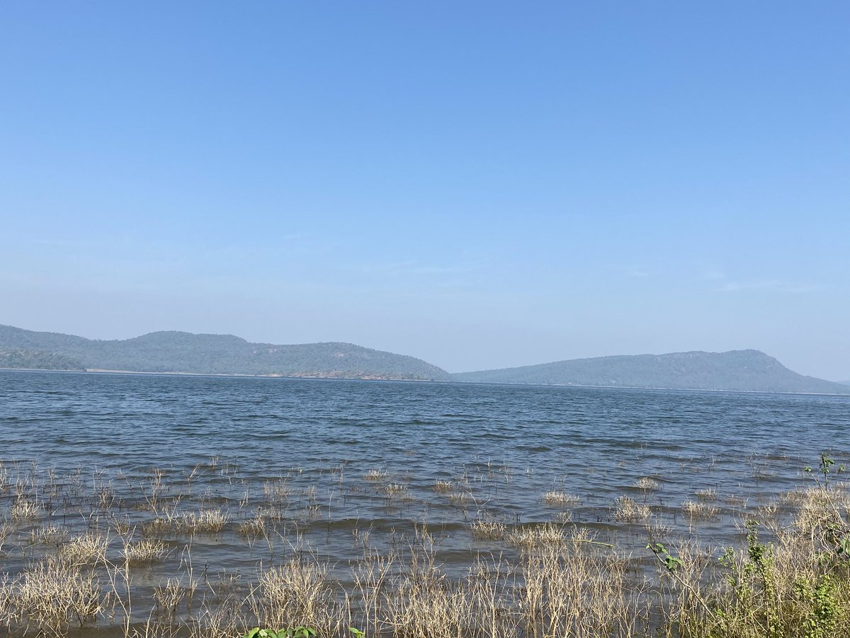 Let me share this interesting story I heard last night. Tucked around a bonfire on a hill top forest guest house, our Forest Personnel host shared this little episode. The backwaters that you see here, dry up at a lot of places to no more than 3-5 feet depth. 1/n