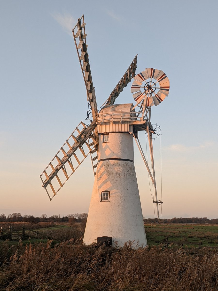 Steven Viking tweet media