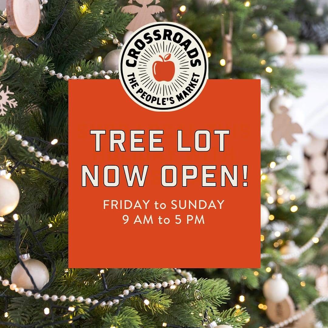 We are so excited to announce that our tree lot is now open! 🎉

Joining us for the holiday season is Allyse from @peakboutiqueyyc! She is here with full size trees, Christmas garlands, wreaths and her adorable grinch trees. 

When you come shopping today, stop in &amp; say hi! #yyc