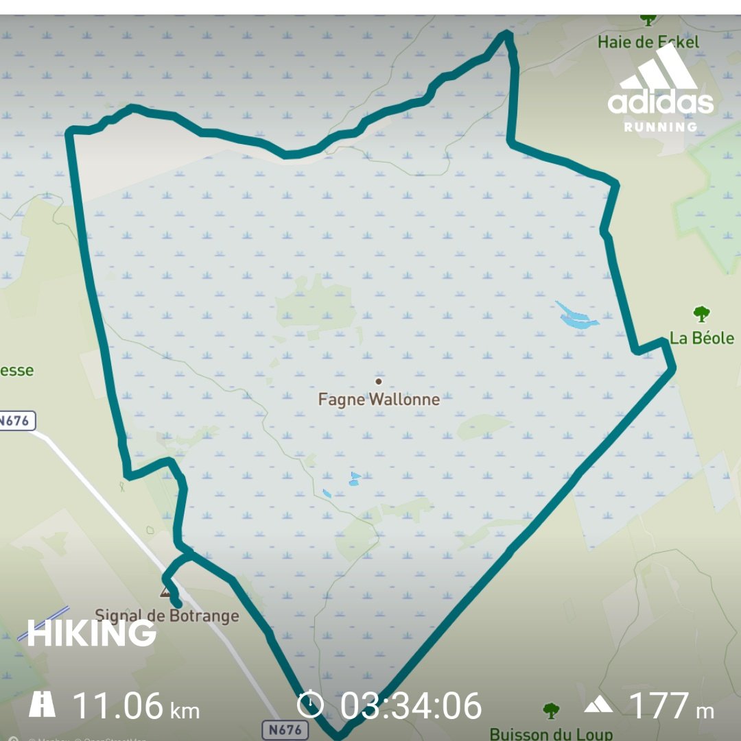 parttime_witch's tweet photo. Loads of mystique, dense fog, sounds of water rippling hinting at hidden runlets only to reveal a deep Creek with strong currents. Brilliant ✨
#eifel #hohesvenn #highfens #hautesfagnes https://t.co/FrFvem1q6M