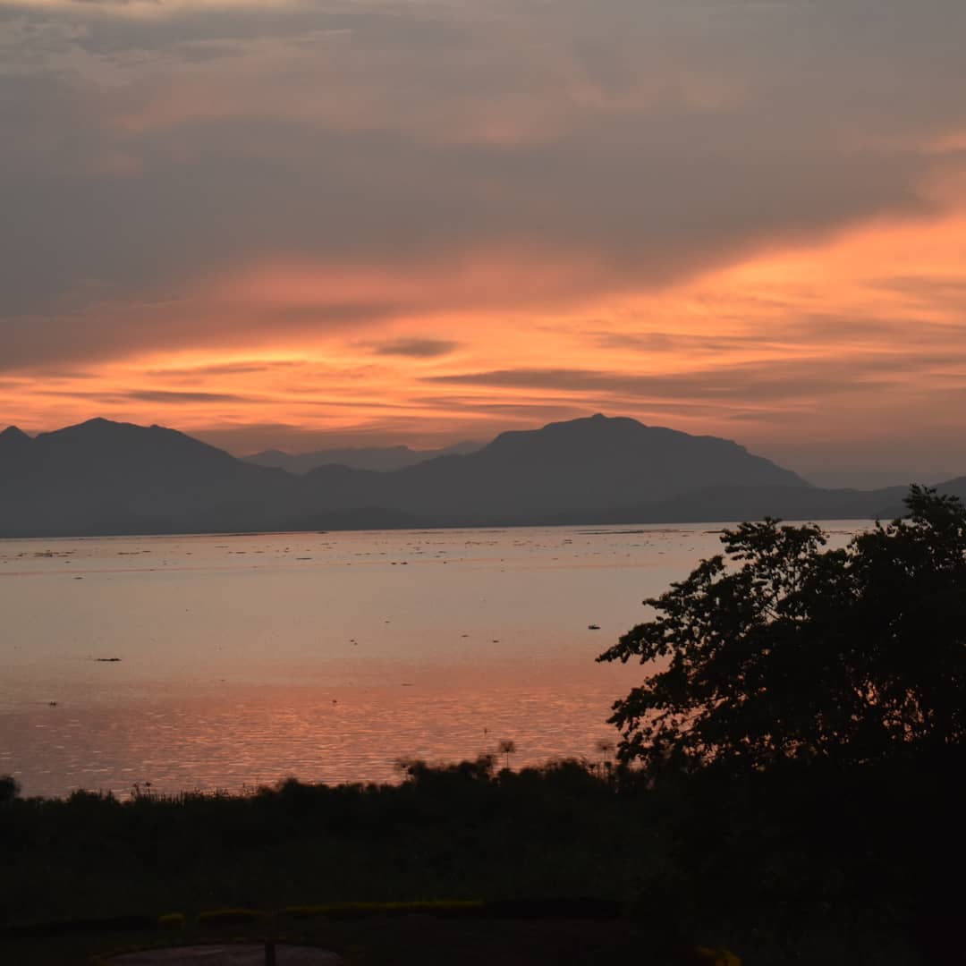 MichKatami's tweet photo. Every #sunset is unique. And this one over #LakeVictoria as seen from Osiri, #Homabay is a majestic beauty. Flames out. Fierce.. (๐ธ Courtesy) #sunsetphotography #sunsetlover #horizon #Skyline #lakeview #magicalkenya #amateurphotography #sunsetlake #sunsetsky #sunset_pics https://t.co/oGmvK7mVGG
