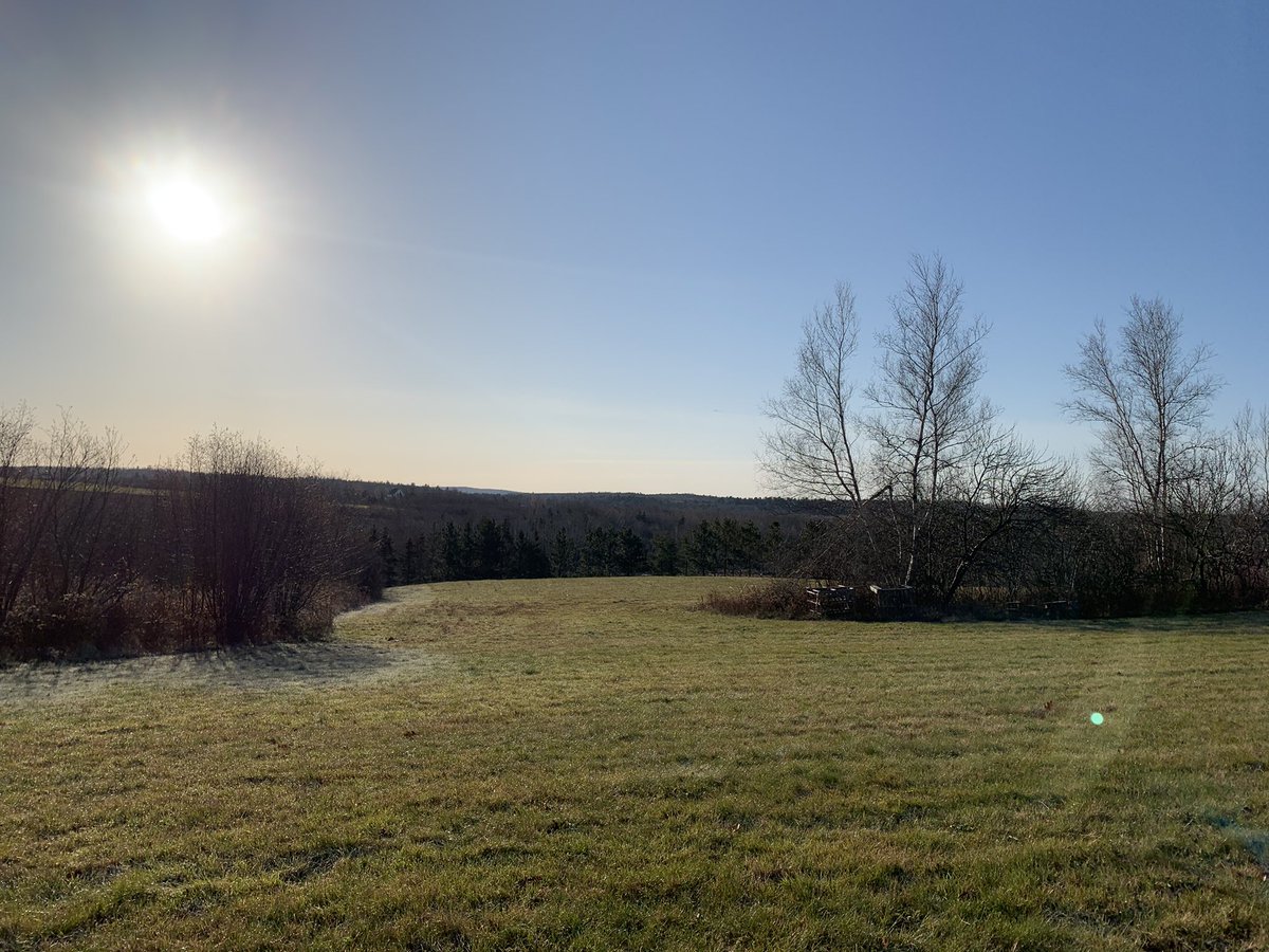 brebenedict1993's tweet photo. Not a morning person but couldn’t resist missing this beautiful morning with my boy 💙 #frosty #NovaScotia #GermanShepherd https://t.co/wtugGD0iRi