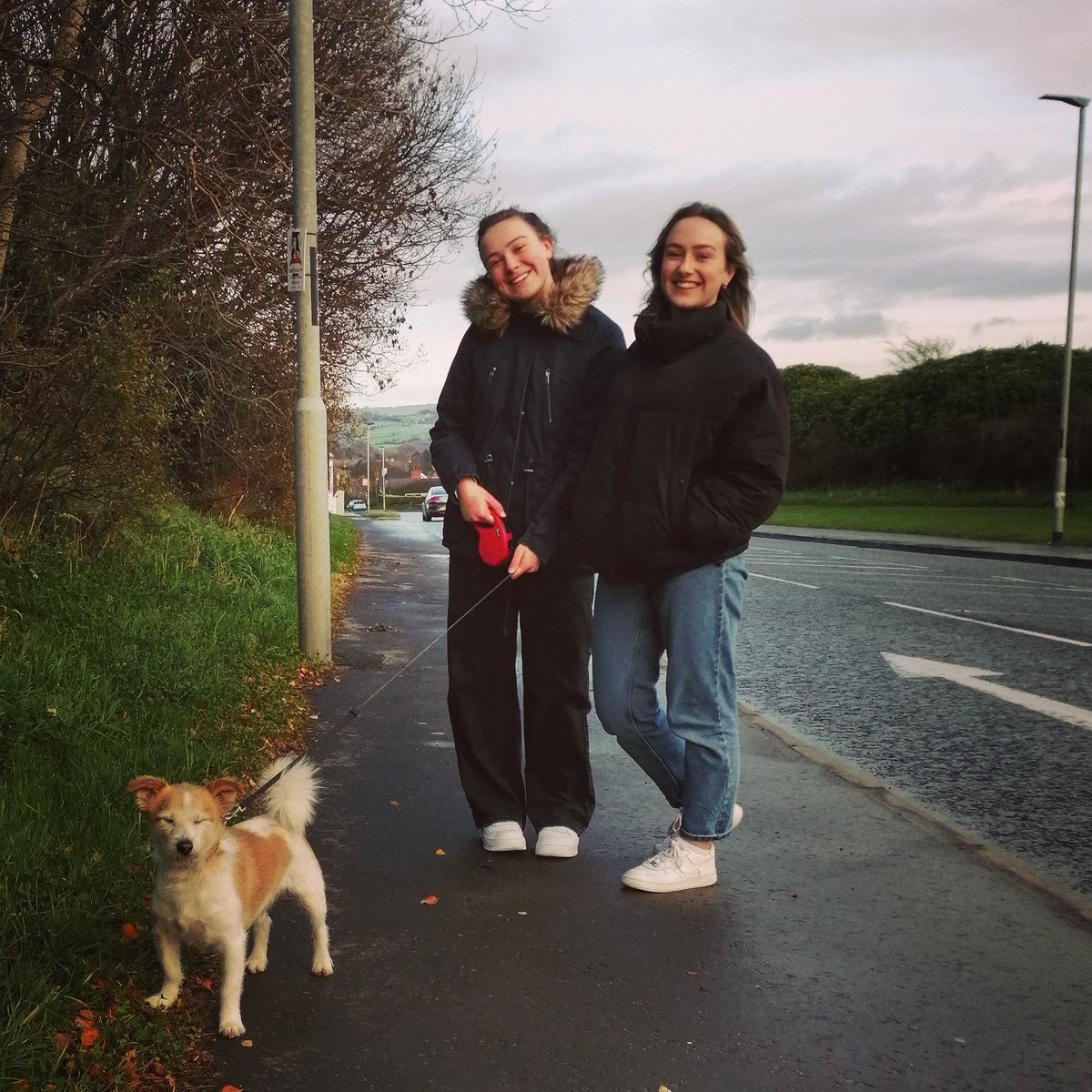 GeoffreyChauc19's tweet photo. Sunday danders with these three. #weekends #thegirls #danders #arthurtoo https://t.co/e8jNnRuRmO