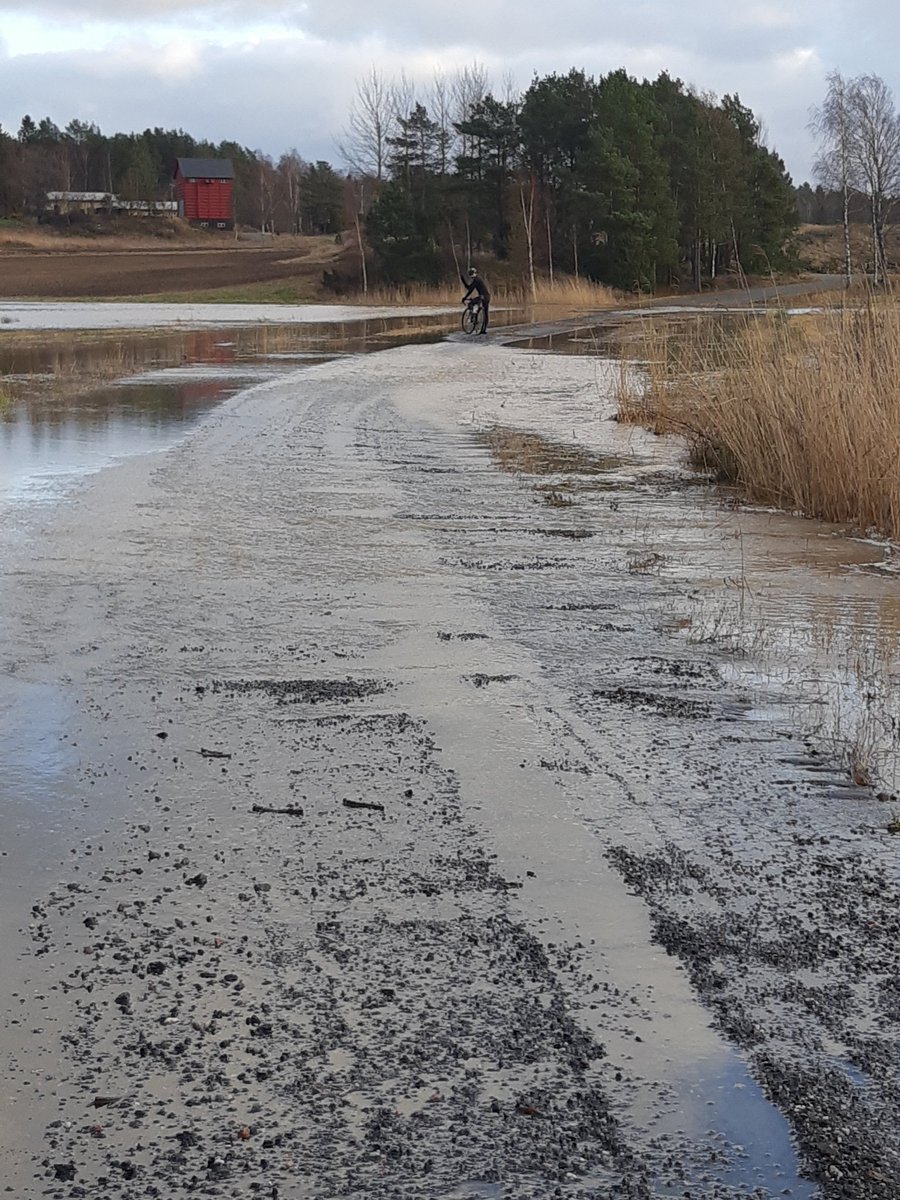 tonilund's tweet image. Kemiönsaaren Paratiisisoraa ~116 km sinkulalla. Tienpintojen kosteus oli paikoitellen aika korkea ja 46x17 "vähän liikaa". :) #pyöräily #yksivaihde