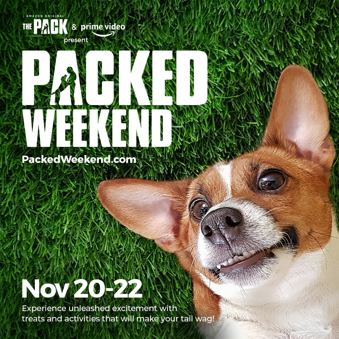 sleepypod's tweet photo. #PackedWeekend ends today. Donโt miss out on giveaways, deals and delights from brands like Sleepypod, and be sure to sign up for the Pack Walk Challenge, at https://t.co/J9AtflY68w https://t.co/LgyT7P5Rsb