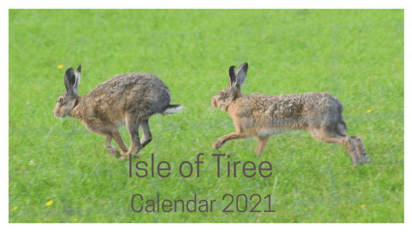 Isle20Shop's tweet photo. In Tiree, mugs, calendars and silver shells can be found!
Rebecca from Chocolate and Charms has been busy making sure you can enjoy Tiree even when not there!
https://t.co/ymqrMrK1bv
#ThinkIndie #ThinkIsland #ThinkIsle20 https://t.co/qPwdERnnUN