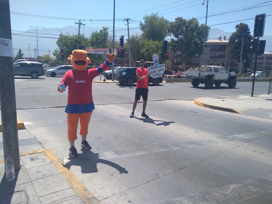centroraimapu's tweet photo. Modo tarreo activado😎😎

Algunas fotos de nuestro equipo dándolo todo hoy🌱💪🏻 recuerda que estaremos todos los sábados y domingo en la mañana en departamental con av. La Florida. https://t.co/7sV6GqQ8Rn