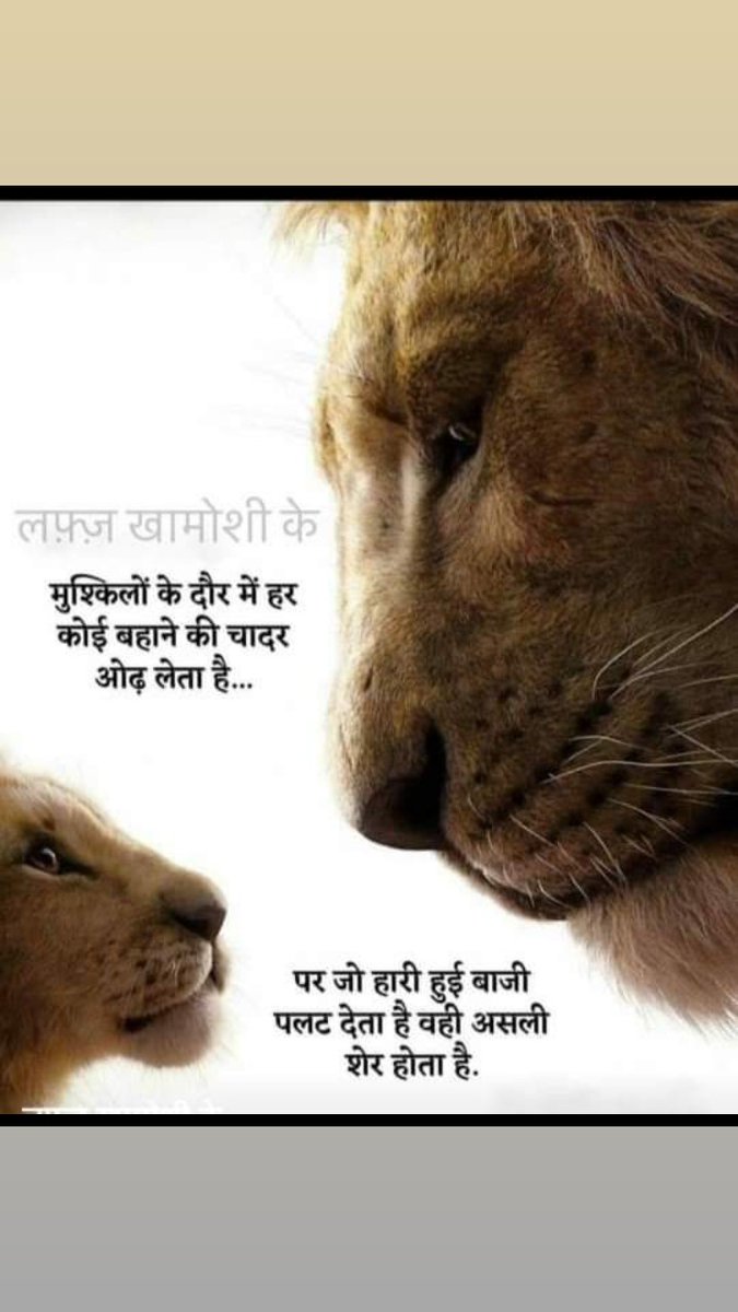 #4200Gujarat_નીતિવિષયક_નિર્ણય