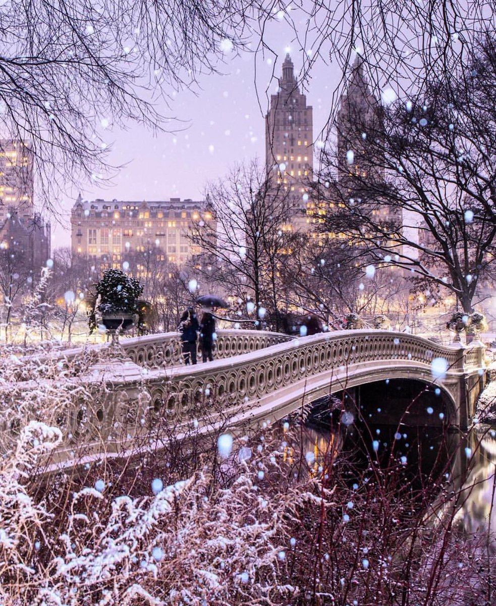 OfficialPLT's tweet photo. Dreaming of Winter in Central Park, NYC 😍❄️ (matthewchimeraphotography) https://t.co/Q6kQWdsUwZ