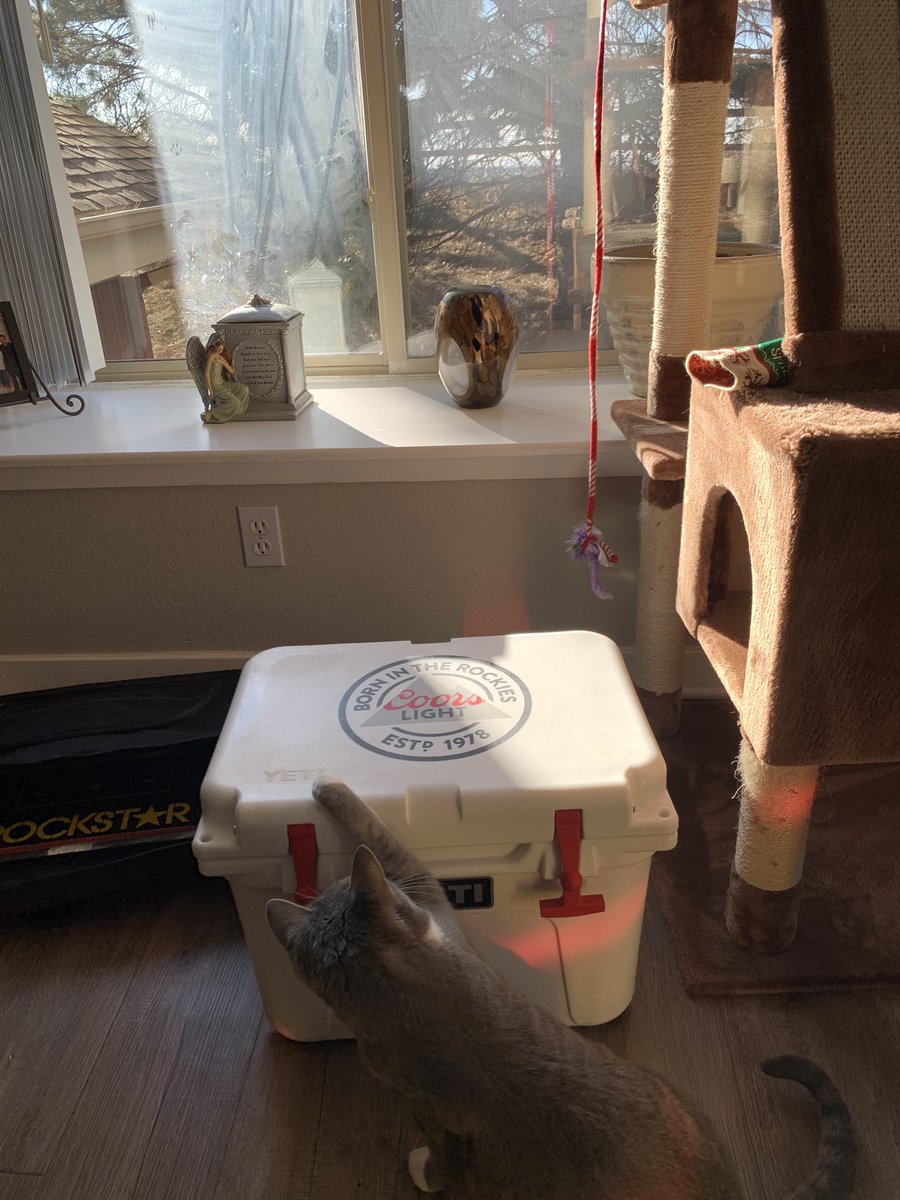 powercleanabq's tweet photo. The Mountains are Blue and I am ready for some Football 🏈 #Yeti #CoorsLight #NFL https://t.co/SblCAOrAt4