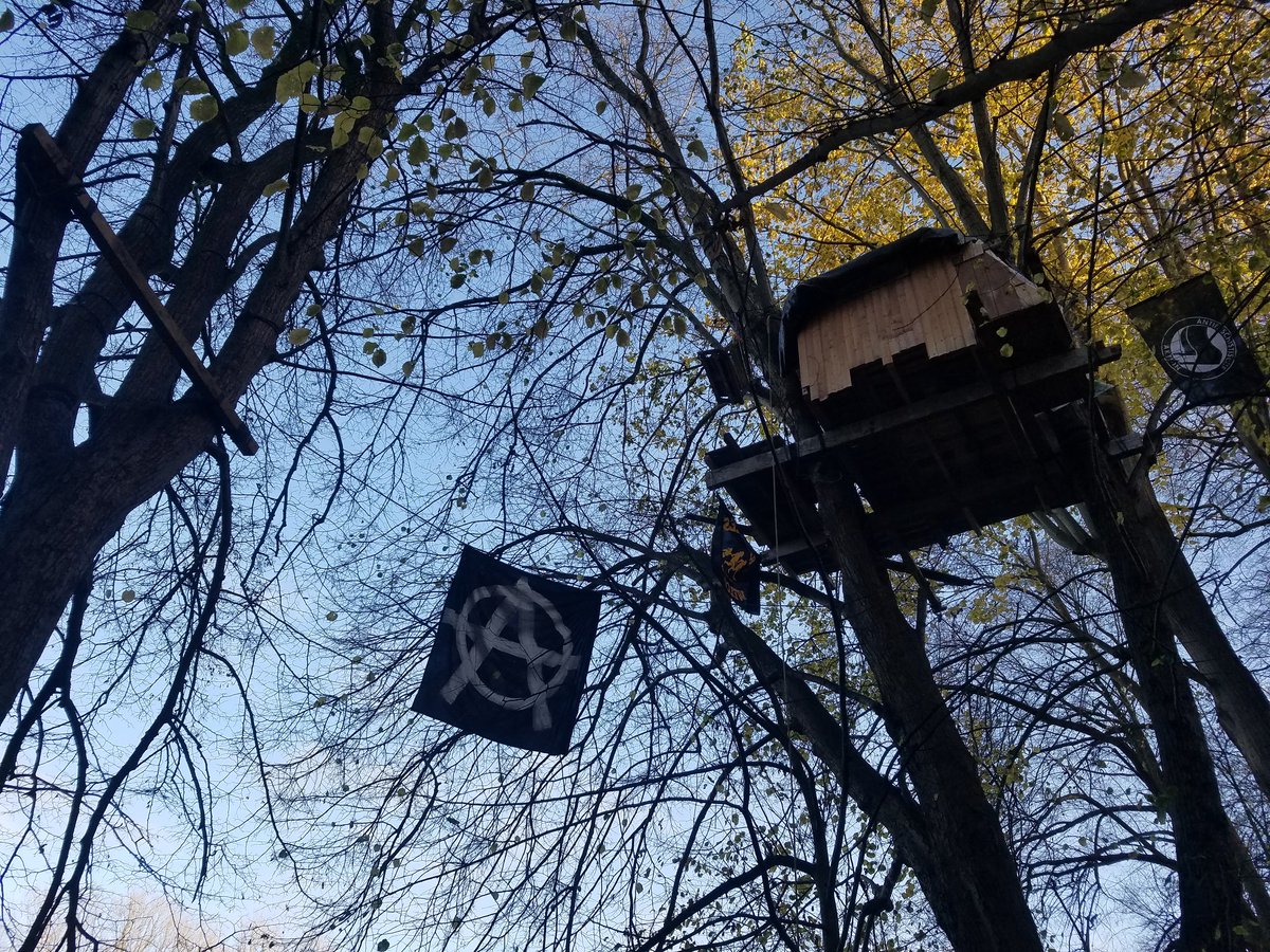 RoedGroedBawa's tweet photo. Rød grød from the ground🦄🌳
#bawableibt #boomdorp #danniBleibt https://t.co/8u9dE7cbZ3