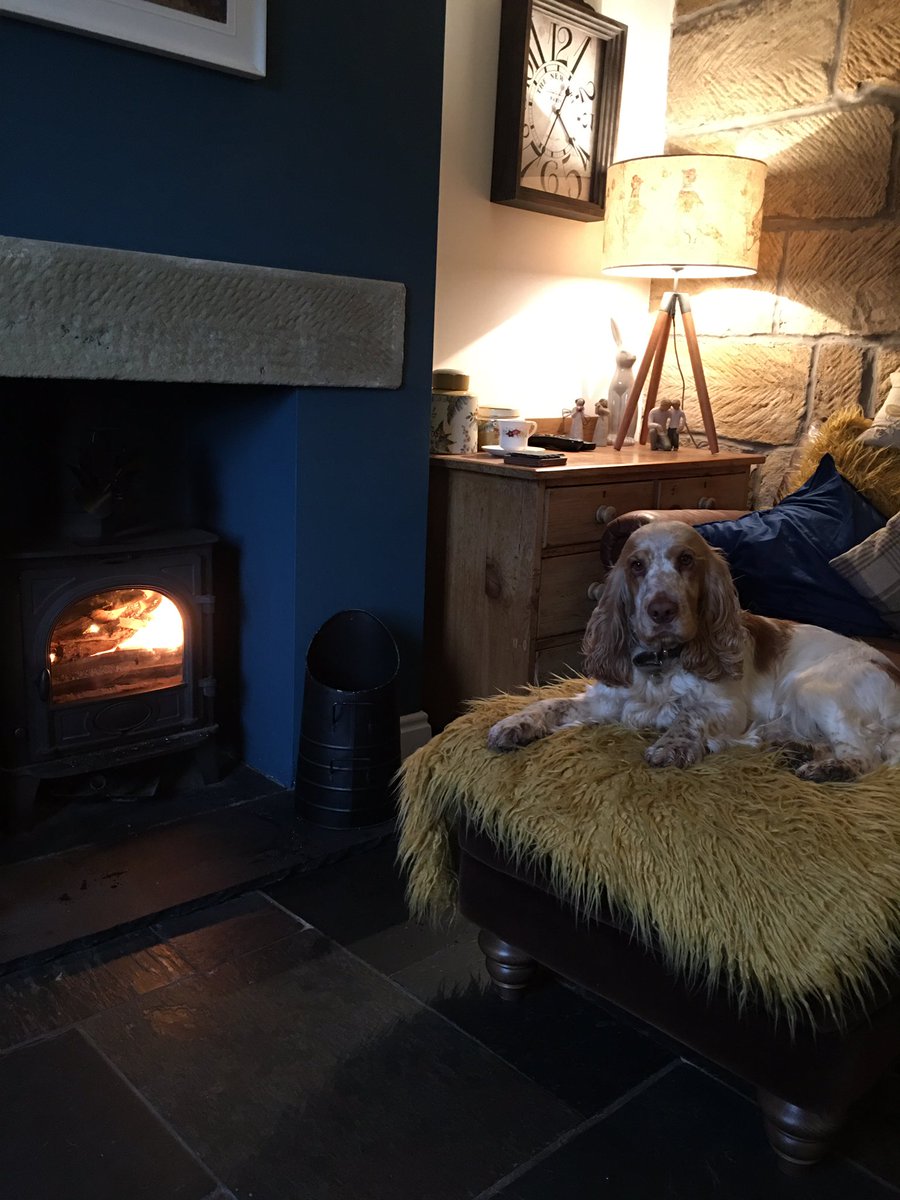 pauljonesking's tweet photo. Today I am having a day off from @chapter1loftus and after some gardening at #roancottage @Henrythecocker1 and I had a lovely walk along the #clevelandway with #marthathecockerpoo and now we are enjoying the #fire whist #sundaylunch is cooking #northyorkshirecoast https://t.co/hhsOfpy1u7